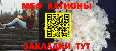 шишки Славгород