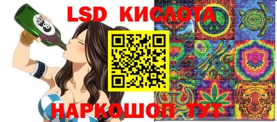 шишки Славгород