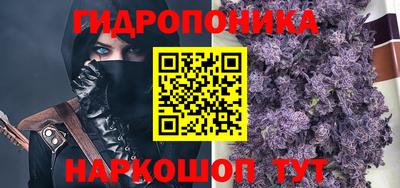 шишки Славгород