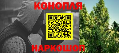 шишки Славгород