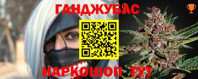 шишки Славгород