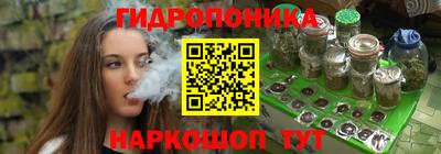 шишки Славгород