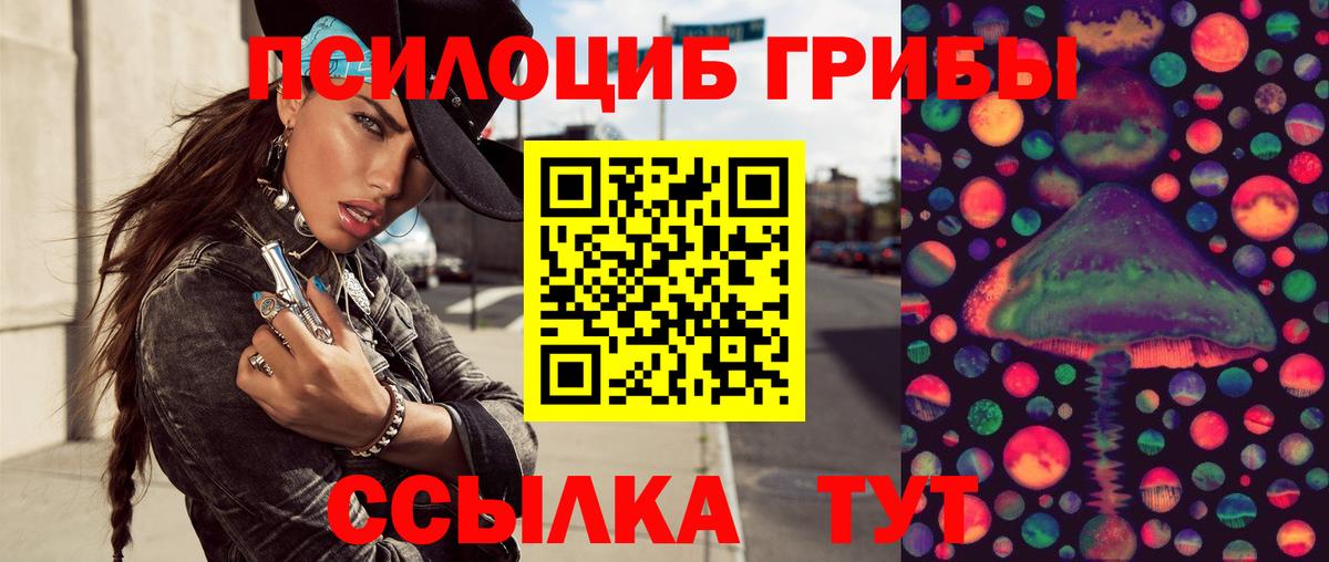 Галлюциногенные грибы GOLDEN TEACHER Советск